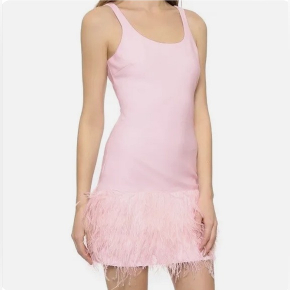 Elizabeth and James Dresses & Skirts - Elizabeth and James pink feather dress